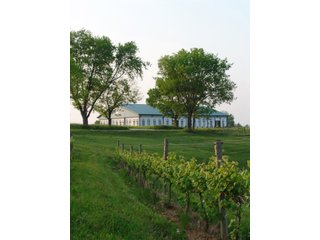 Property photo 25 - REAL ESTATE & RESTAURANT/WINE EQUIPMENT